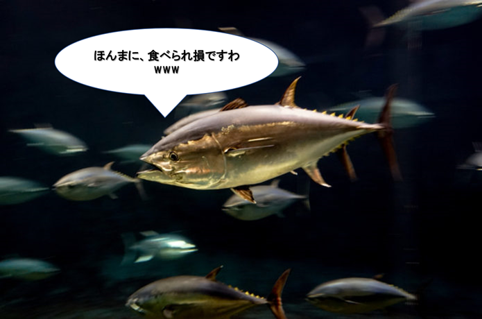 マグロの画像