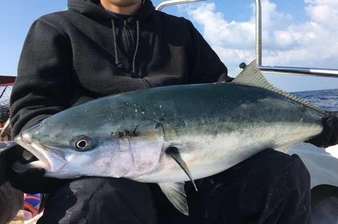 アルカディアでの釣果
