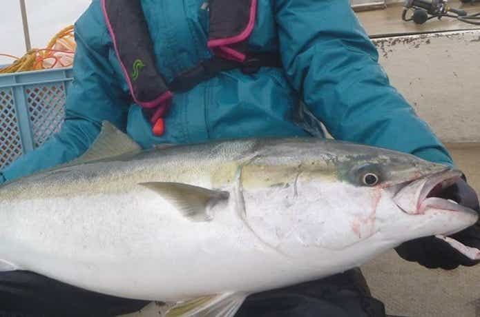 アルカディアでの釣果