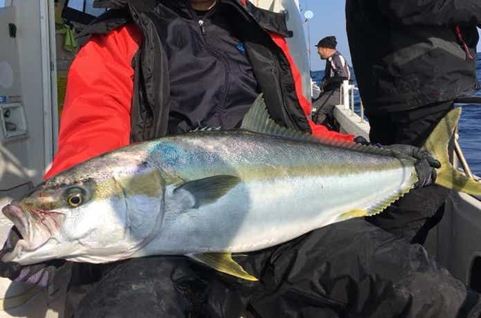 アルカディアで釣れたヒラマサ