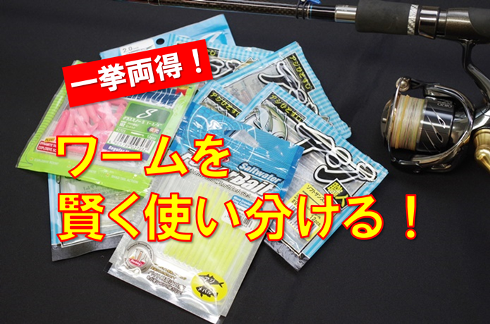 ワームの画像