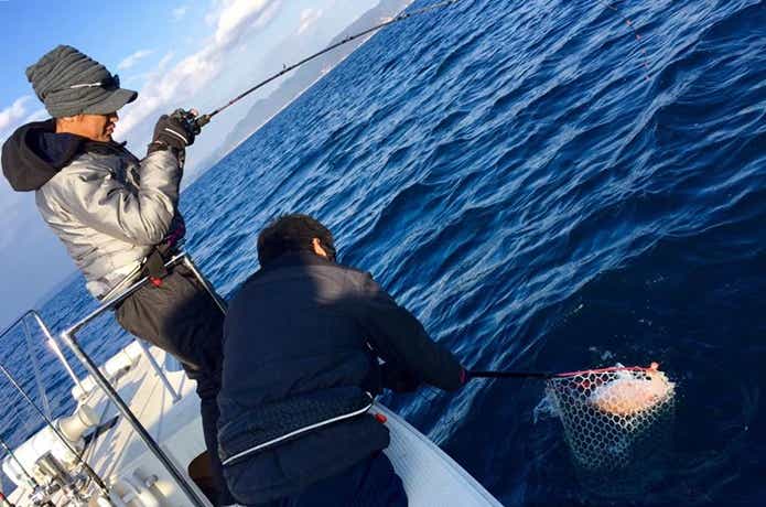 遊漁船グルーヴでの釣りシーン