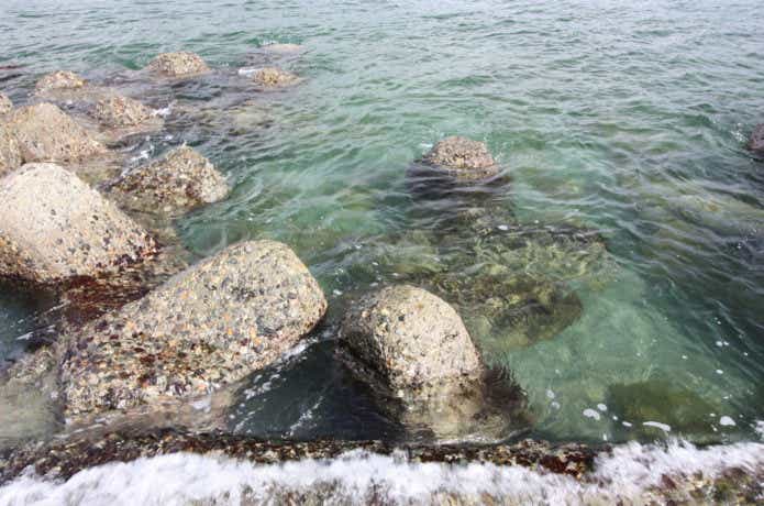 穴釣りの画像