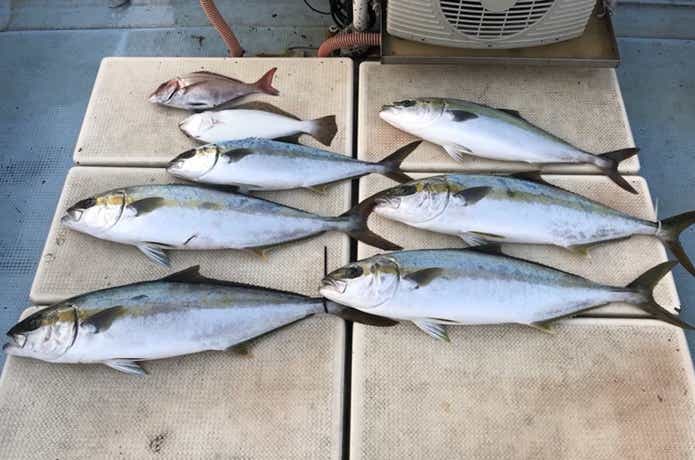 ポントス幸雅丸での釣果