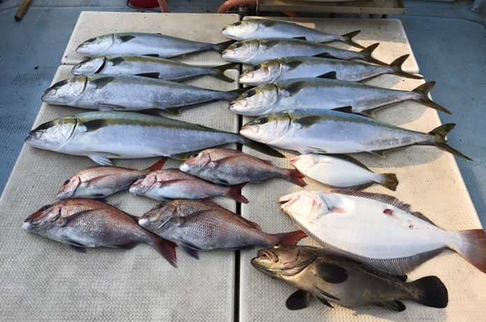 ポントス幸雅丸での釣果