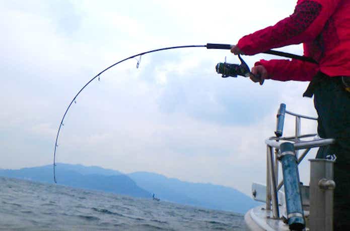 ブリジギングでの釣果