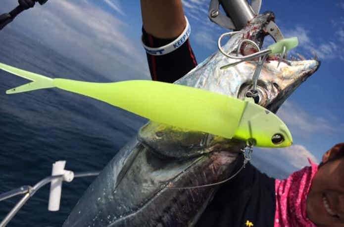 シーマジカルでの釣果