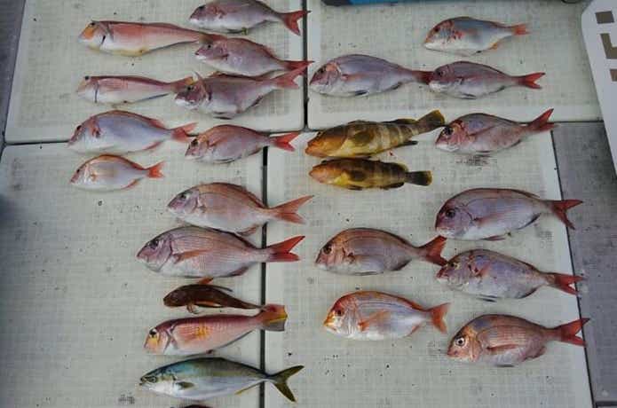 海坊主Ⅴでの釣果