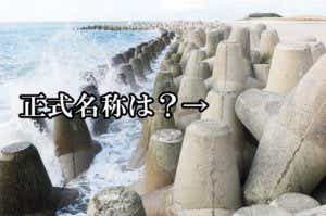 釣りクイズ