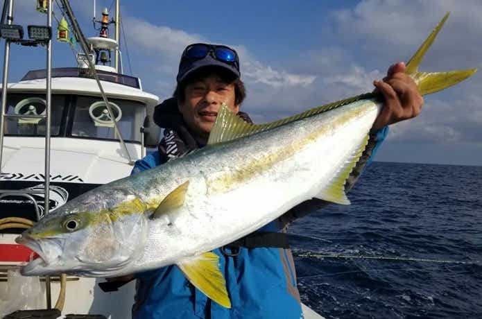 DAIWA