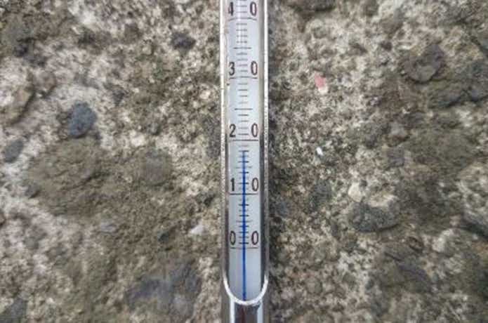 水温　魚