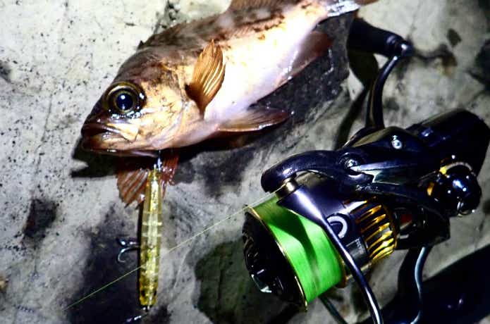 Abu Garcia ABU（ピュアフィッシング） ワールドモンスター