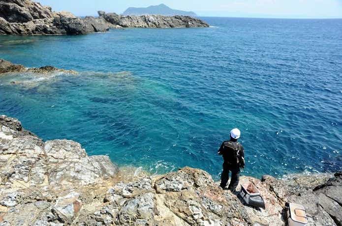 鵜来島の画像