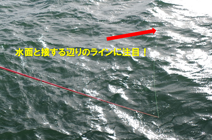 釣りの画像