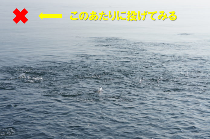 ナブラの画像
