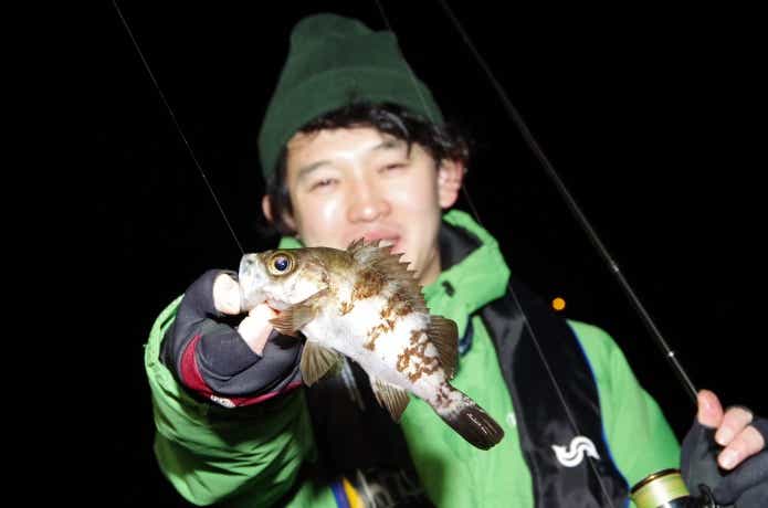 メバリングの画像