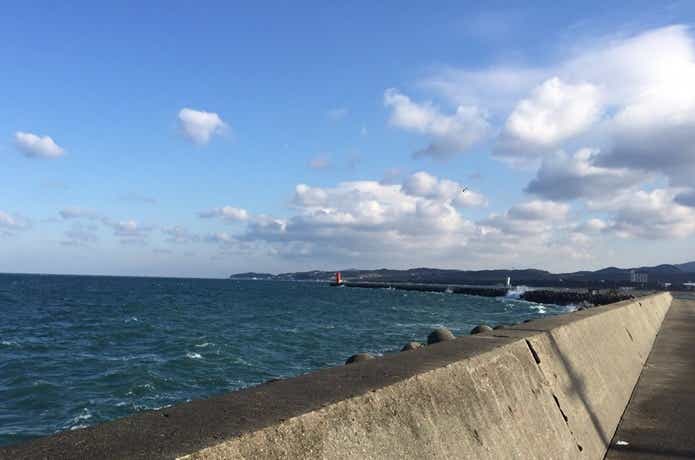釣りの画像