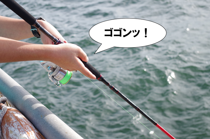 釣りの画像