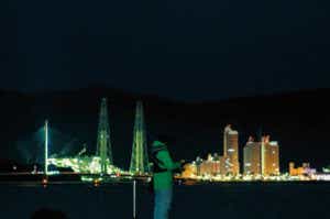 夜釣りの画像