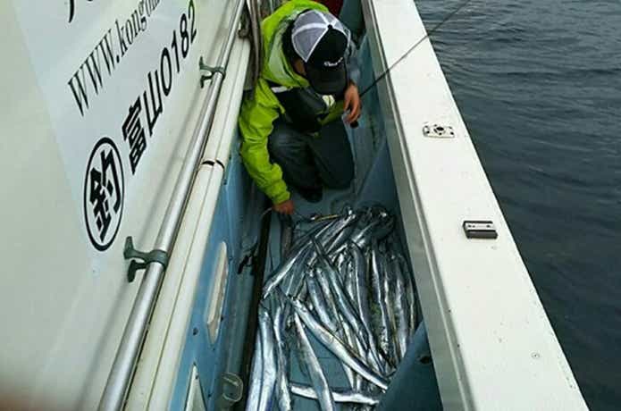 金剛丸での釣りシーン