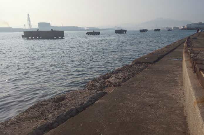 日中の海の画像