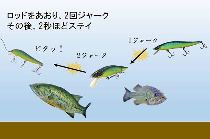 ジャークベイト　アクション