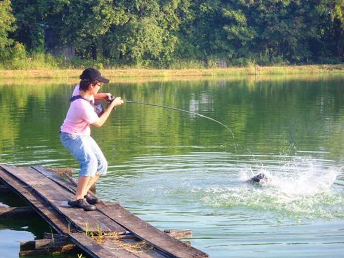 釣りの画像