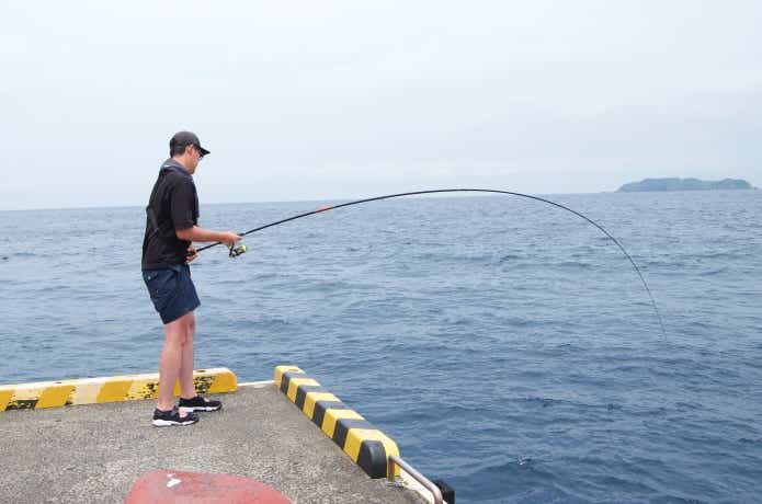 魚とのやりとりの画像