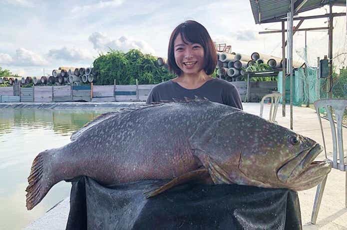 ピーコックバスは至高のゲームフィッシュ！釣れる国と釣れるルアー・タックルは？