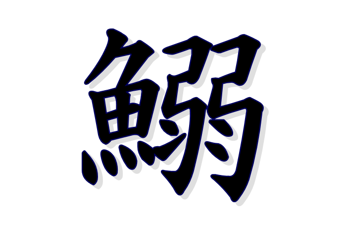 鰯