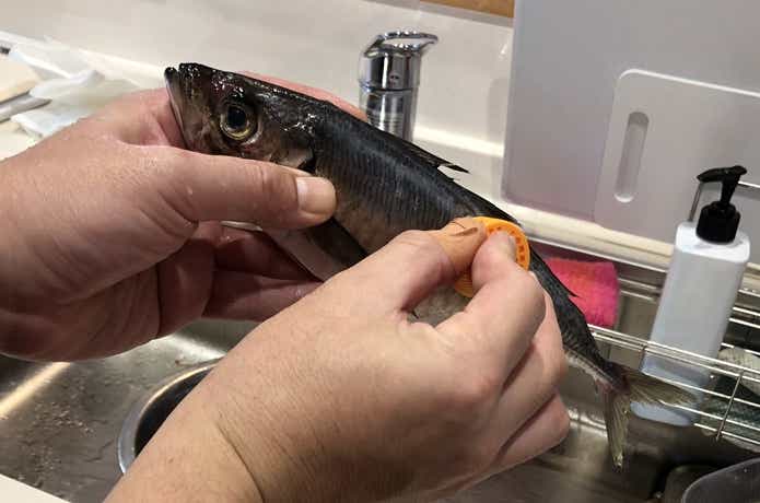 自家製干物の下処理