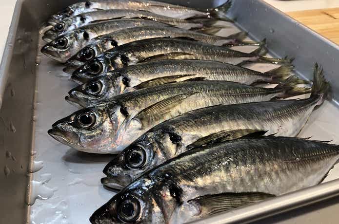 自家製干物の作り方