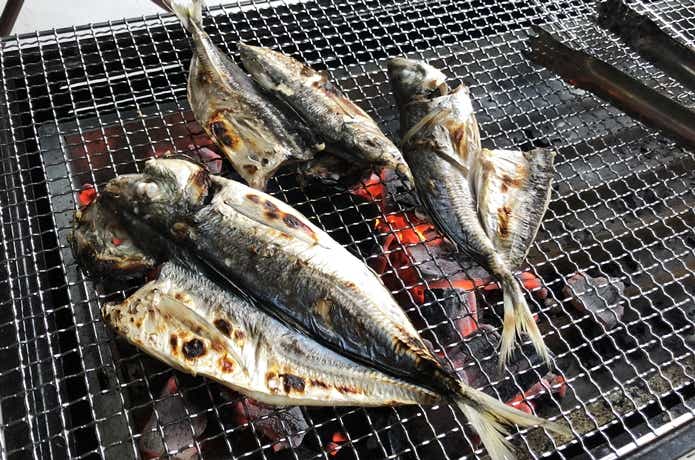 自家製干物の作り方のレシピ　試食