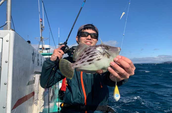 カワハギの釣果