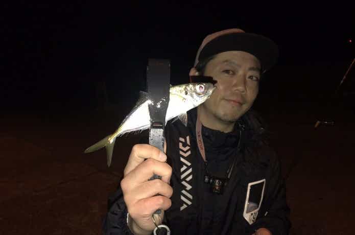 アジングで釣ったアジ