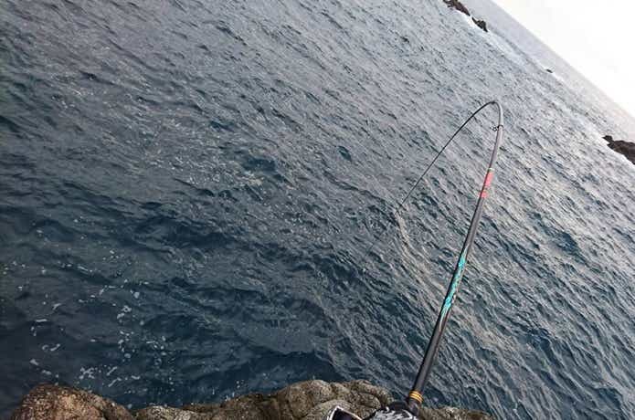 釣りの画像