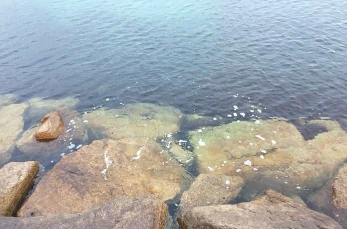 釣り場の画像