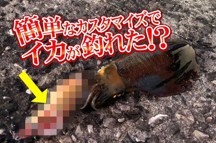 邪道エギが凄まじい！マジで釣れる『エサ巻きエギング』を実釣力を徹底