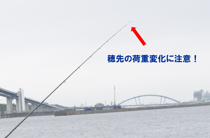 底取りの画像