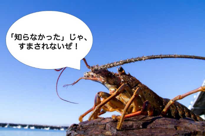 漁業権の啓蒙活動をする伊勢海老くん