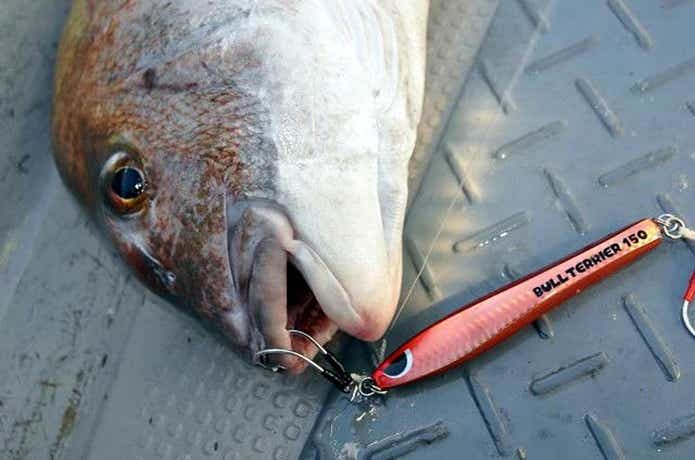 海祐丸での釣果