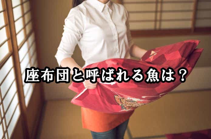 魚クイズ