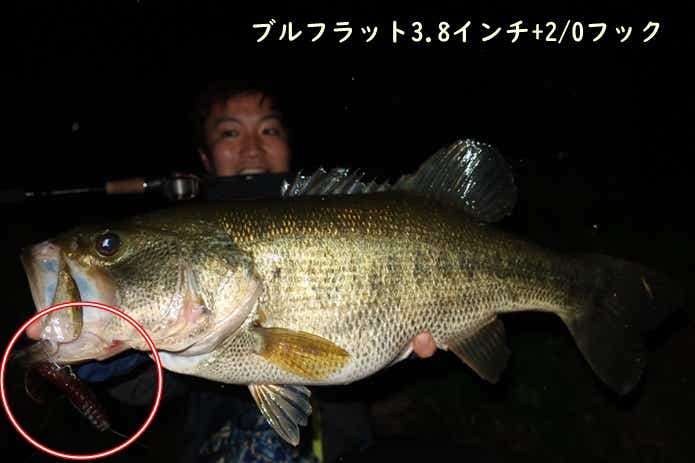 ブルフラット
