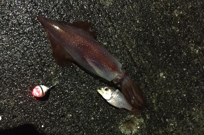 かっ飛びボールの画像