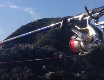 フカセ釣りで使う道糸