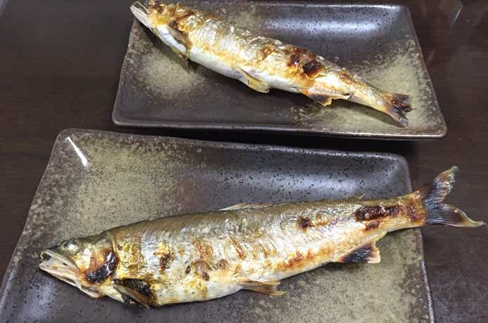 鮎の画像