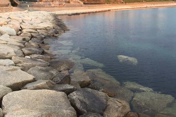 釣り場の画像