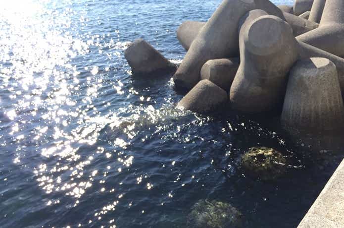 釣り場の画像
