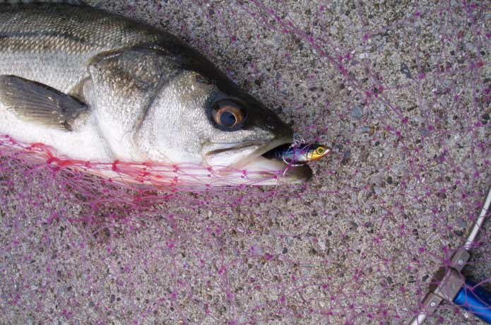 ローリングベイト55　マイクロベイトチューン