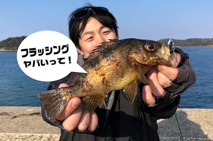 スピンソニックでの釣果